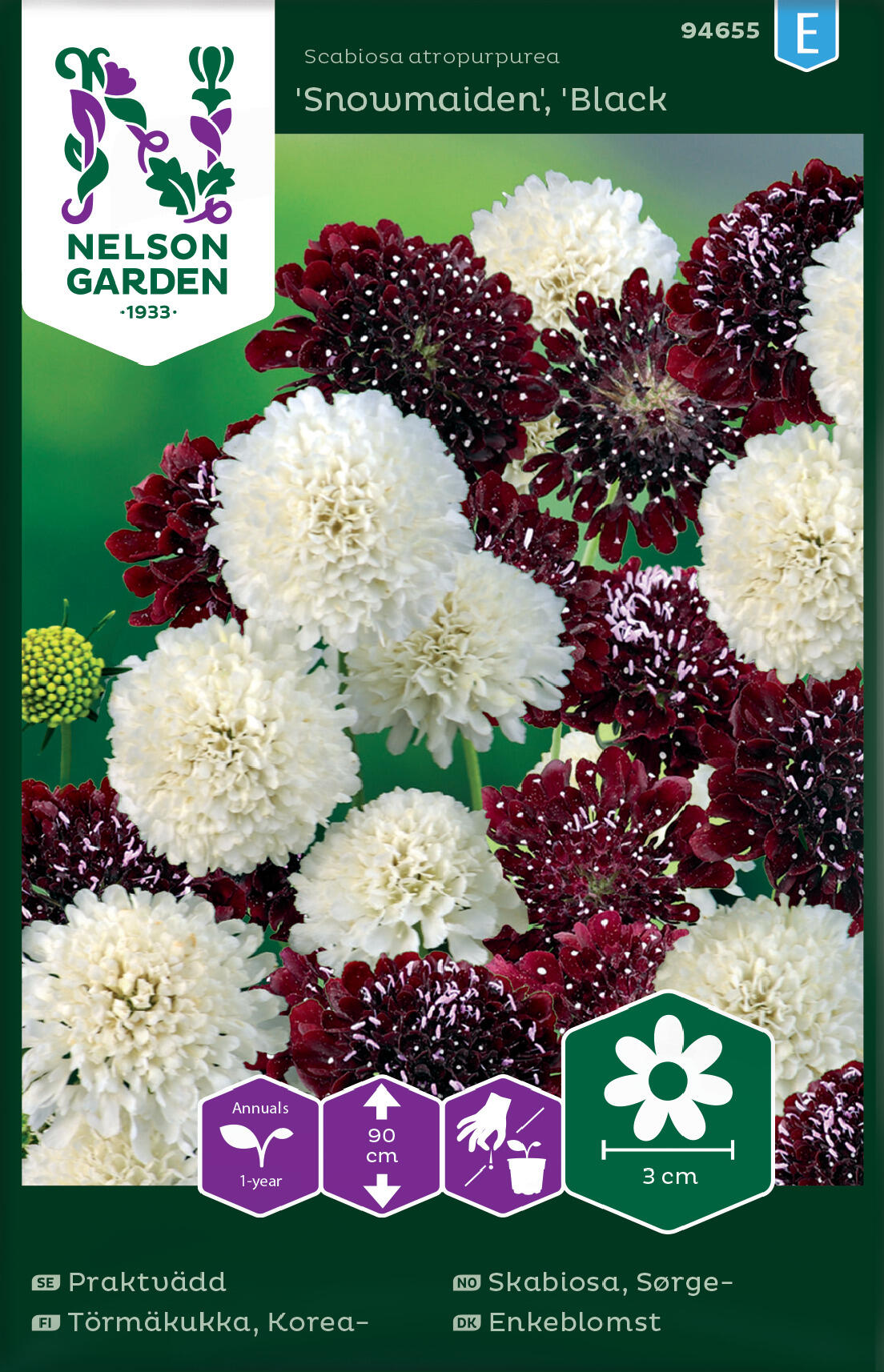 Sørgeskabiosa 'Snowmaiden', 'Black Knight'